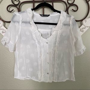 Zara Crop Ruffles Sheer Top S